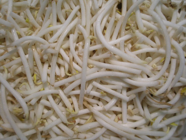 IQF Mung Bean Sprouts