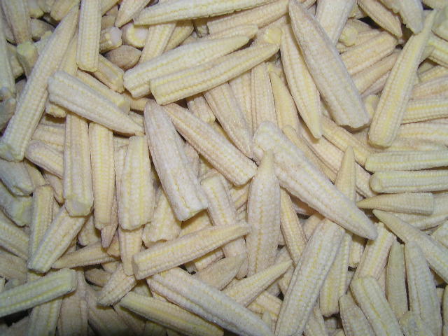 IQF Baby Corns Cuts